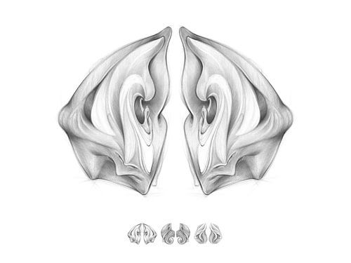 Discovery 1 - Past meets future