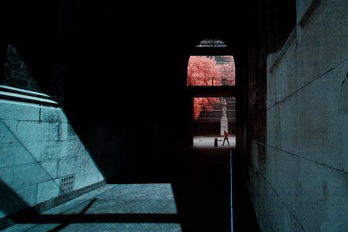 Onder de Dom Utrecht