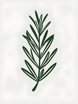 Simple Elegance by Giandra Safaraz