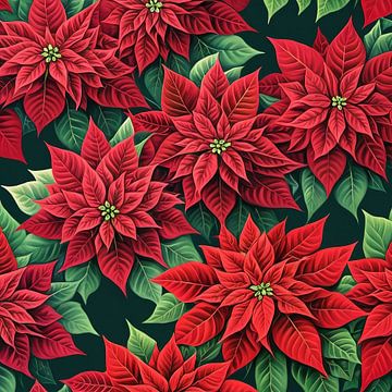 POINSETTIAS van ub cy