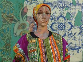 Symbiosis 7 by C.z. de Jong