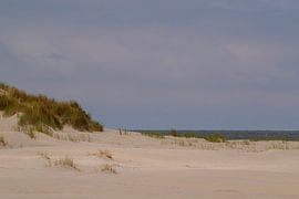 Dans les dunes sur natascha van der meijden