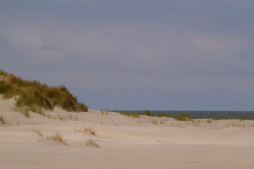 In the dunes