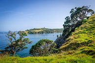 Prachtige baai in Waiheke Island, Nieuw Zeeland van Troy Wegman thumbnail
