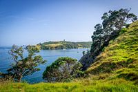 Prachtige baai in Waiheke Island, Nieuw Zeeland