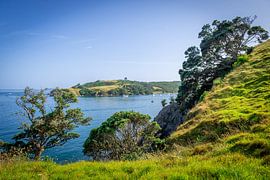 Schöne Bucht auf Waiheke Island, Neuseeland von Troy Wegman