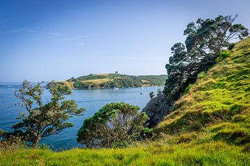 Beautiful bay in Waiheke Island, New Zealand by Troy Wegman