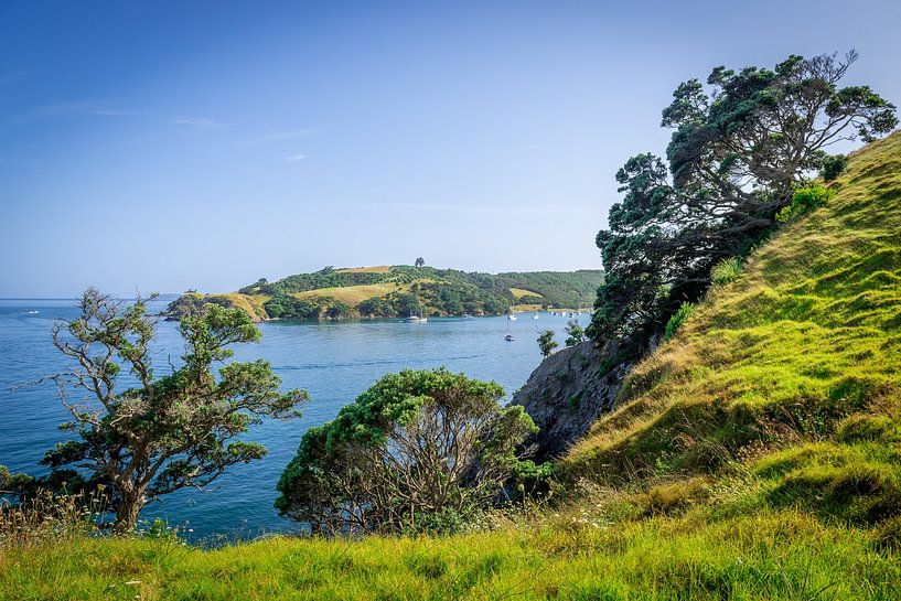 Prachtige baai in Waiheke Island, Nieuw Zeeland van Troy Wegman