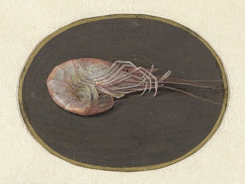 Garnaal, Jan Augustin van der Goes