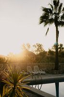 Dreamy sunrise in Mallorca by palm tree pool