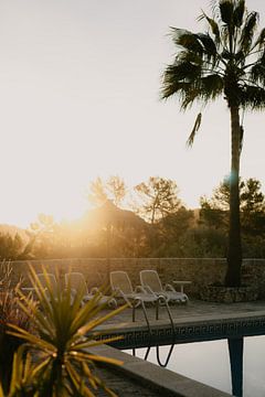 Dromerige zonsopgang op Mallorca bij het zwembad met palmboom van Photo Atelier