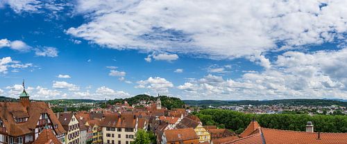 Duitsland, XXL Tuebingen oude stad bovenaanzicht