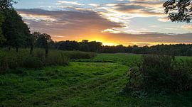 Zonsondergang achter bomen
