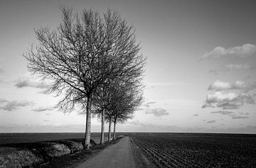 Stille weg in de provincie Groningen van Bo Scheeringa Photography