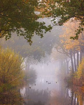 Een mooie herfstsfeer in de Groningse Veenkoloniën van Marga Vroom