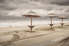 Tropisches Holland. Grundlegend. von Alie Ekkelenkamp