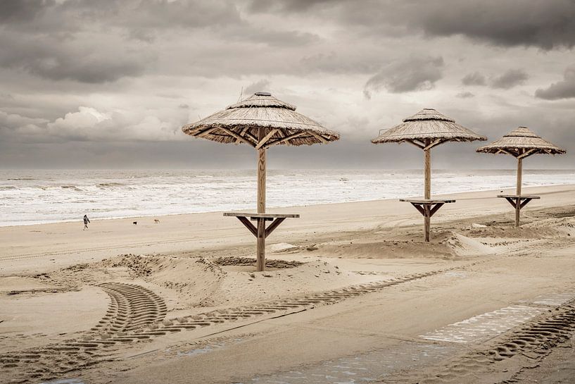Tropical Holland. Basic. by Alie Ekkelenkamp
