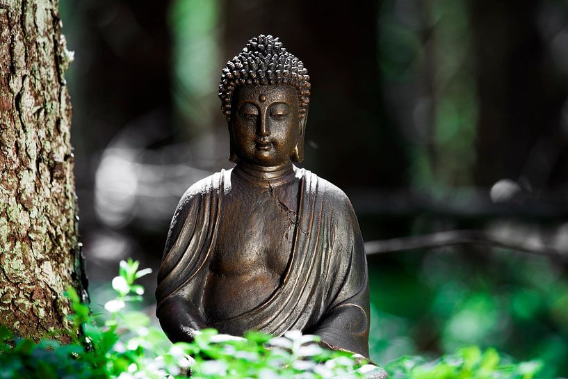 Buddha by Jürgen Wiesler