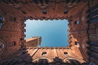 Italy Tuscany Siena Campanile from below by Jean Claude Castor thumbnail