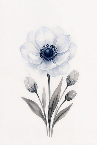 Minimalist White Anemone Watercolor Botanical Art Print