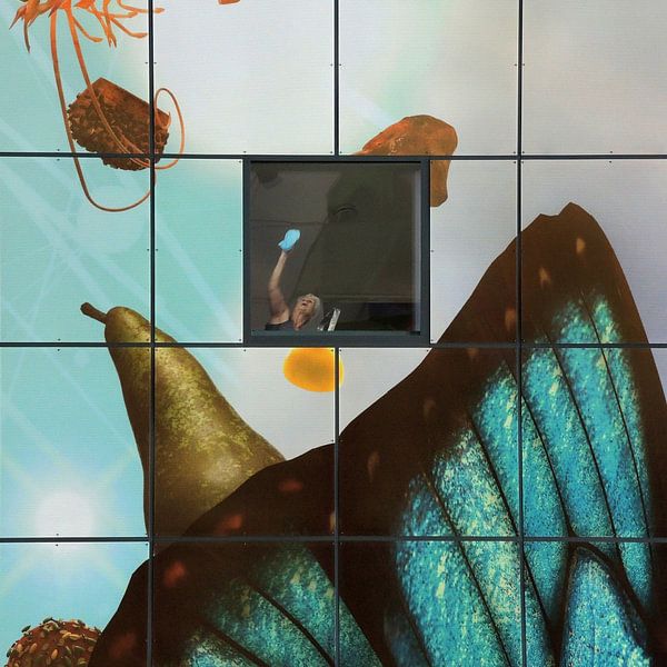 Cleaning my window....! by Huib Limberg