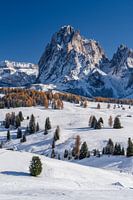 Langkofel Panoramablick Seiser Alm Südtirol