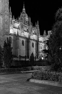 Nieuwe kathedraal, Salamanca van Leticia Spruyt