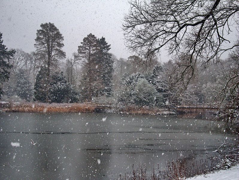Blazende sneeuw 2 van Edgar Schermaul