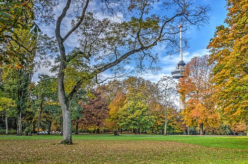 Rotterdam: the Park and the Euromast