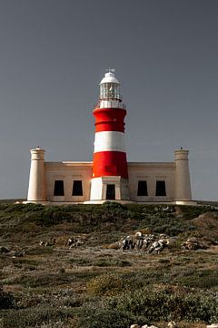 Vuurtoren van Hermanus, Zuid-Afrika van Nico Hochberger