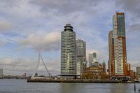 Ansicht Rotterdam
