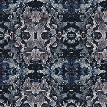 Frosty-Collage-3 von Rob van der Pijll