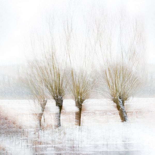 Winterliche Bäume von Ingrid Van Damme fotografie