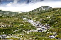 Helemaal alleen op de Hardangervidda