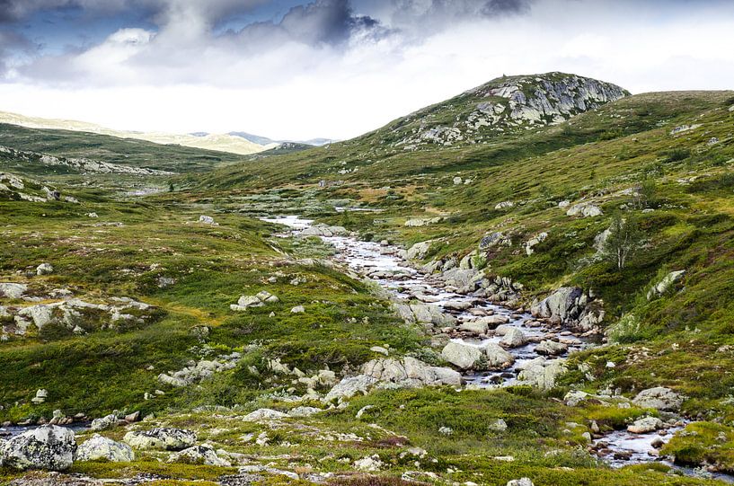 Helemaal alleen op de Hardangervidda par Karin Mooren