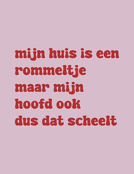 Mijn huis is een rommeltje