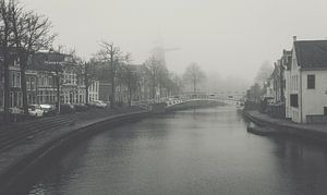 Neblige Aussicht in Dokkum