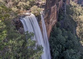 Les chutes de Fitzroy