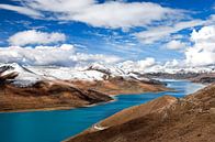 Yamdrok-See in Tibet von Jan van Reij Miniaturansicht