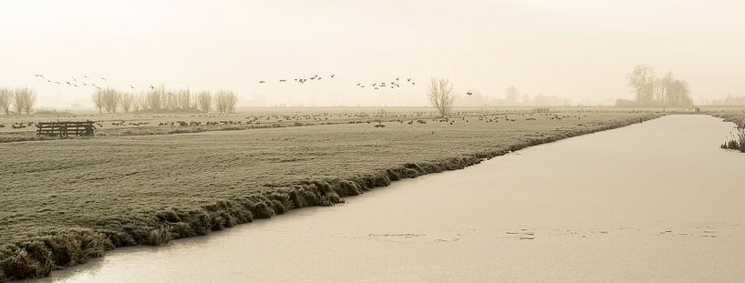 Frozen polder landscape with a frozen ditch and flying geese in The Netherlands by Leoniek van der Vliet