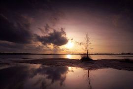 Lumière du soir sur Kees van Dongen