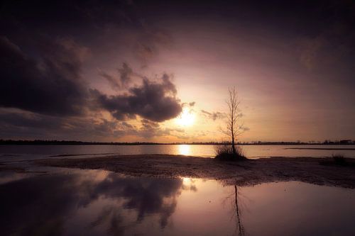 Evening Light (Zonsondergang ven)