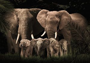 Elefantenfamilie mit vier Kälbern (auch mit mehr oder weniger Kälbern) von Bert Hooijer