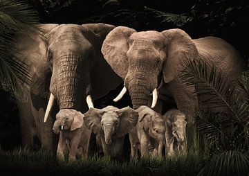 Famille d'éléphants avec quatre éléphanteaux (ou avec plus ou moins d'éléphanteaux). sur Bert Hooijer