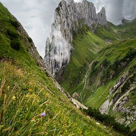 Saxer Lucke Switzerland by Bart Cox