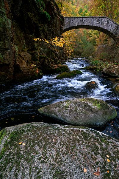 Bachlauf im Harz von Björn Varbelow