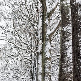 Besneeuwde bomen von Margot Klaren