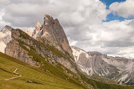 Seceda Dolomites.