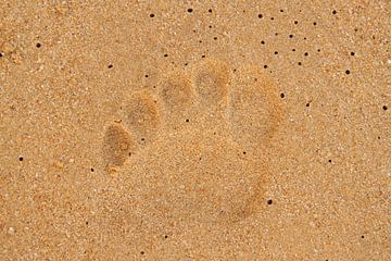 Footprint van Leanne de Blok