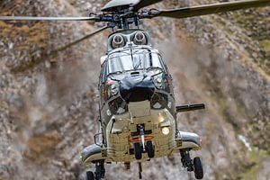 Schweizer Eurocopter AS 532UL Cougar (T-340).